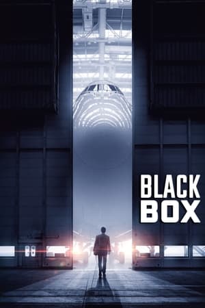 Boxed 2021 Hindi Movie – [330MB]