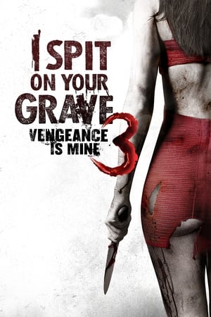 I Spit on Your Grave: Vengeance Is Mine (2015) Hindi Dual Audio – 480p
