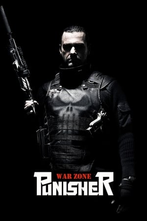 Punisher: War Zone (2008) Hindi Dual Audio [880MB]