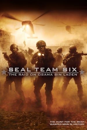 Seal Team Six: The Raid on Osama Bin Laden (2012) Hindi Dual Audio Full Movie - 1.3GB