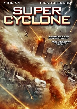 Super Cyclone (2012) Hindi Dual Audio –